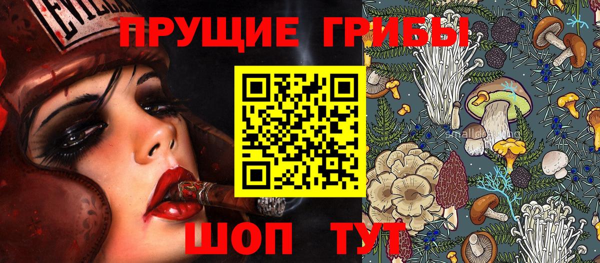 Псилоцибиновые грибы мицелий Верхний Уфалей