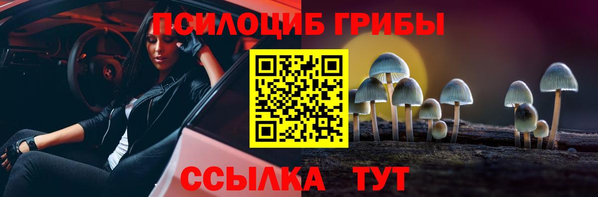 Верхний Уфалей  Галлюциногенные грибы GOLDEN TEACHER  Вход с VPN 